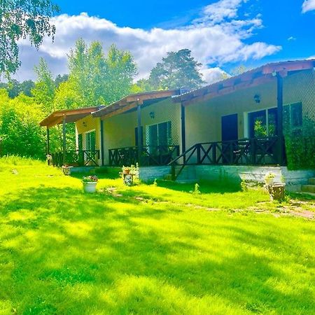 Private Bed & Breakfast Shchūchīnsk Bagian luar foto